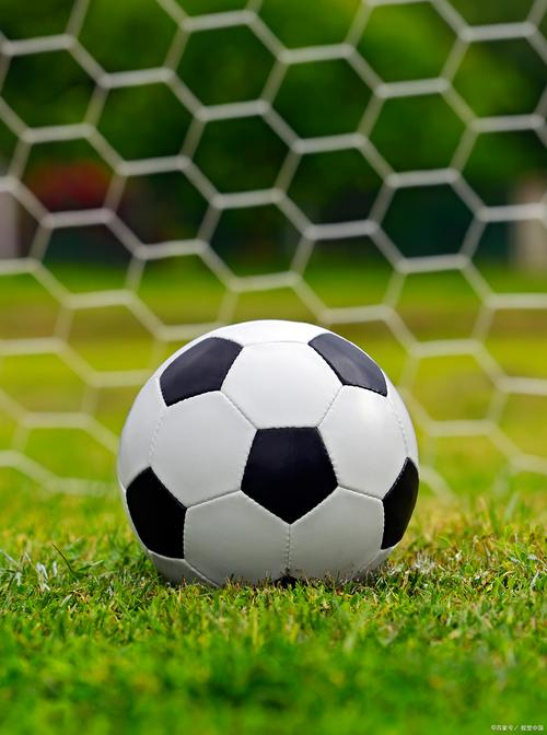 站群优化工作内容